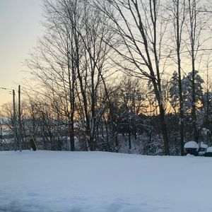 Meet your Posher, Ari